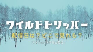 ワイルドトリッパー!!の配信日はいつでどこで見れる？プライムビデオ独占配信情報まとめ